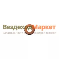 Шайба форсунки уплотнит. FOOVC 17503/F00RJ01453 (ЯМЗ 534.536) Франция