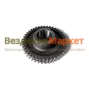 Шестерня 5-й перед. пром. вала 141.1701053 /z=42