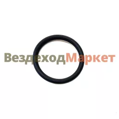 Кольцо уплотнительное 8.06.120