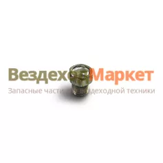 Пробка М10х1/ 21010-1305026-008 сливная блока цилиндров /БЕЛЗАН/