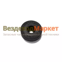 Сальник нагнетателя ПЖД600/30-1015240 с пружинкой /ШААЗ/
